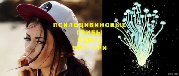 твердый Арсеньев