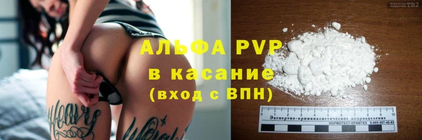 твердый Арсеньев