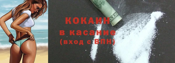 твердый Арсеньев
